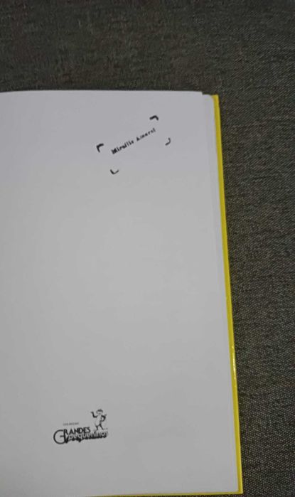 Livro Juvenil Pequenas Coisas