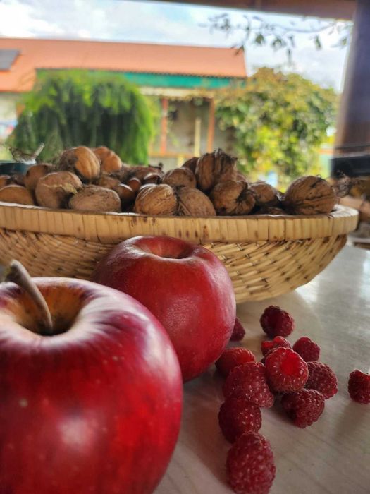 Jabłka rubinola 5 kg