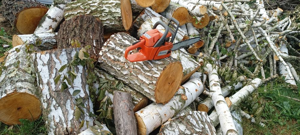 Wycinka drzew | Koszenie | Karczowanie | Utylizacja | Transport Zwyżka