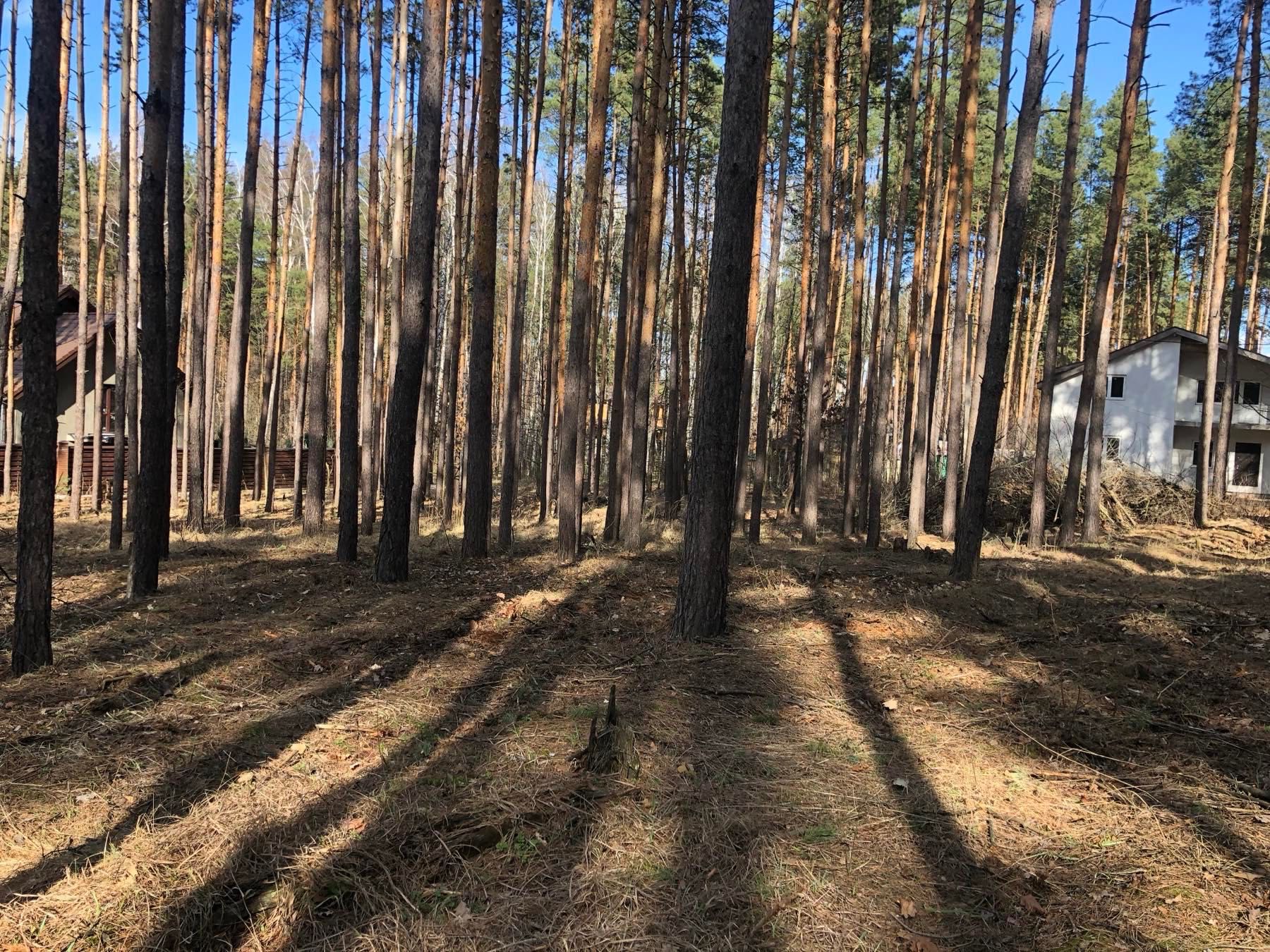 Земельна ділянка біля Київського моря, ліс. СТ МІРАЖ 24 сотки (12+12)