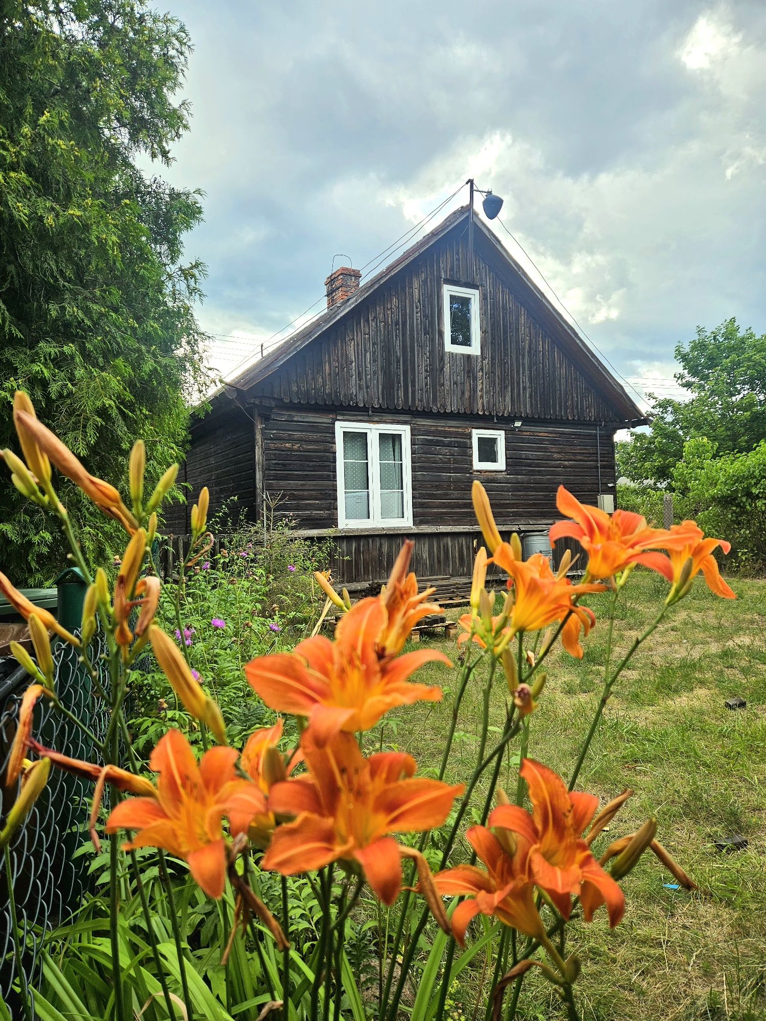 domek na wynajem nad jeziorem - Kociewie