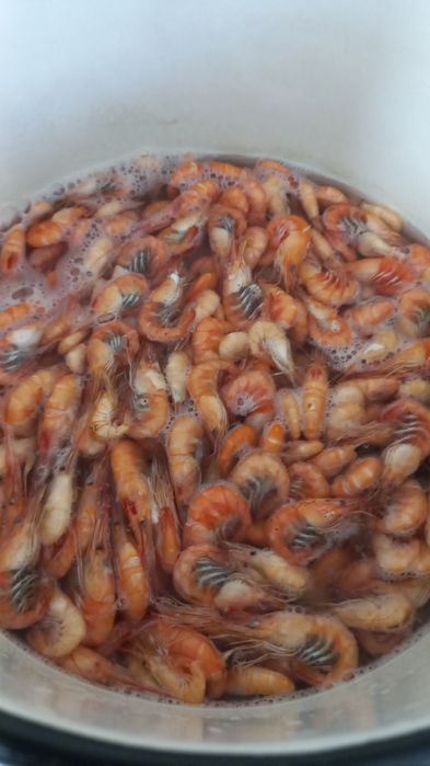 Креветка черноморская и дунайская