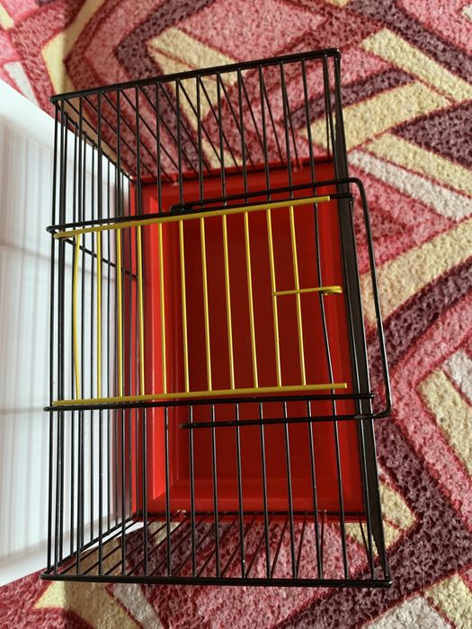 Клітка для гризунів