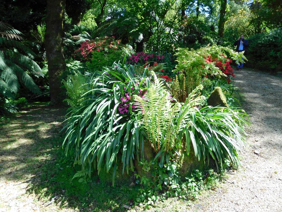 Negócio Rentavel  , excelente localização , a funcionar, oportunidade