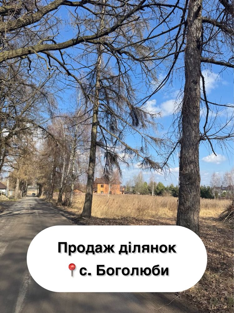 Продаж ділянки біля лісу Боголюби, Луцький р-н