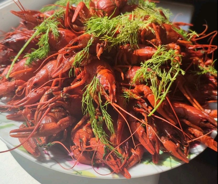 Продам свежих и варёных раков с доставкой