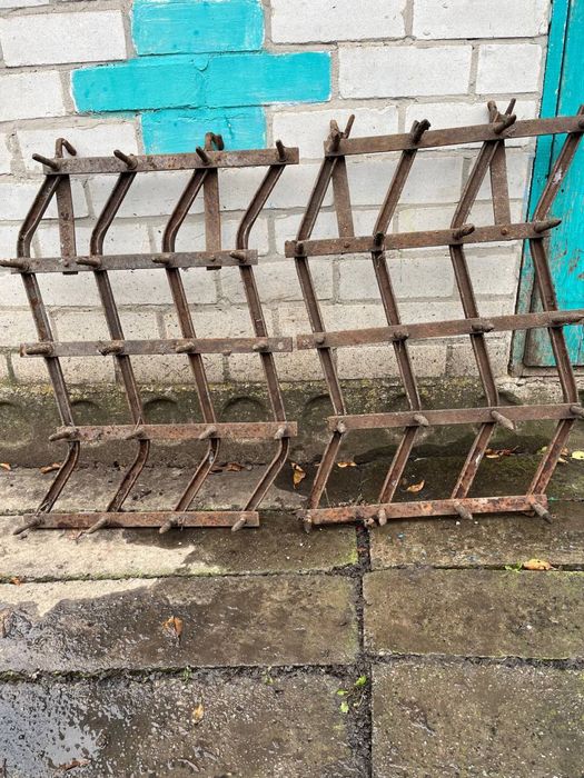 Райборінка в гарному стані