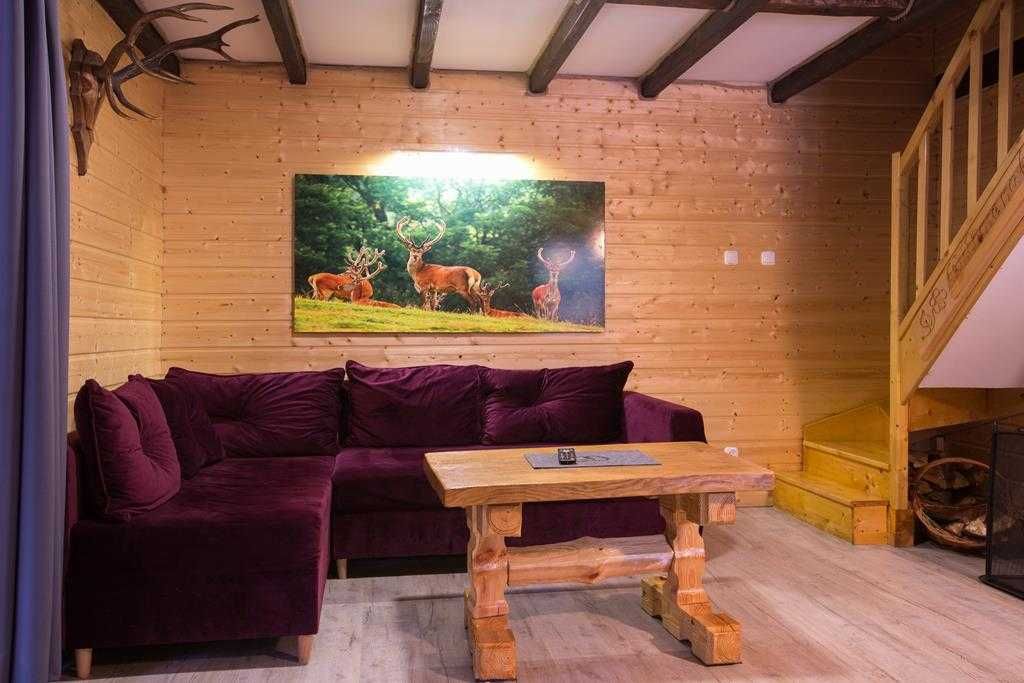 Domek JELENIÓWKA w LESIE - BASEN Bania Bilard KASZUBY jeziora Zaprasza