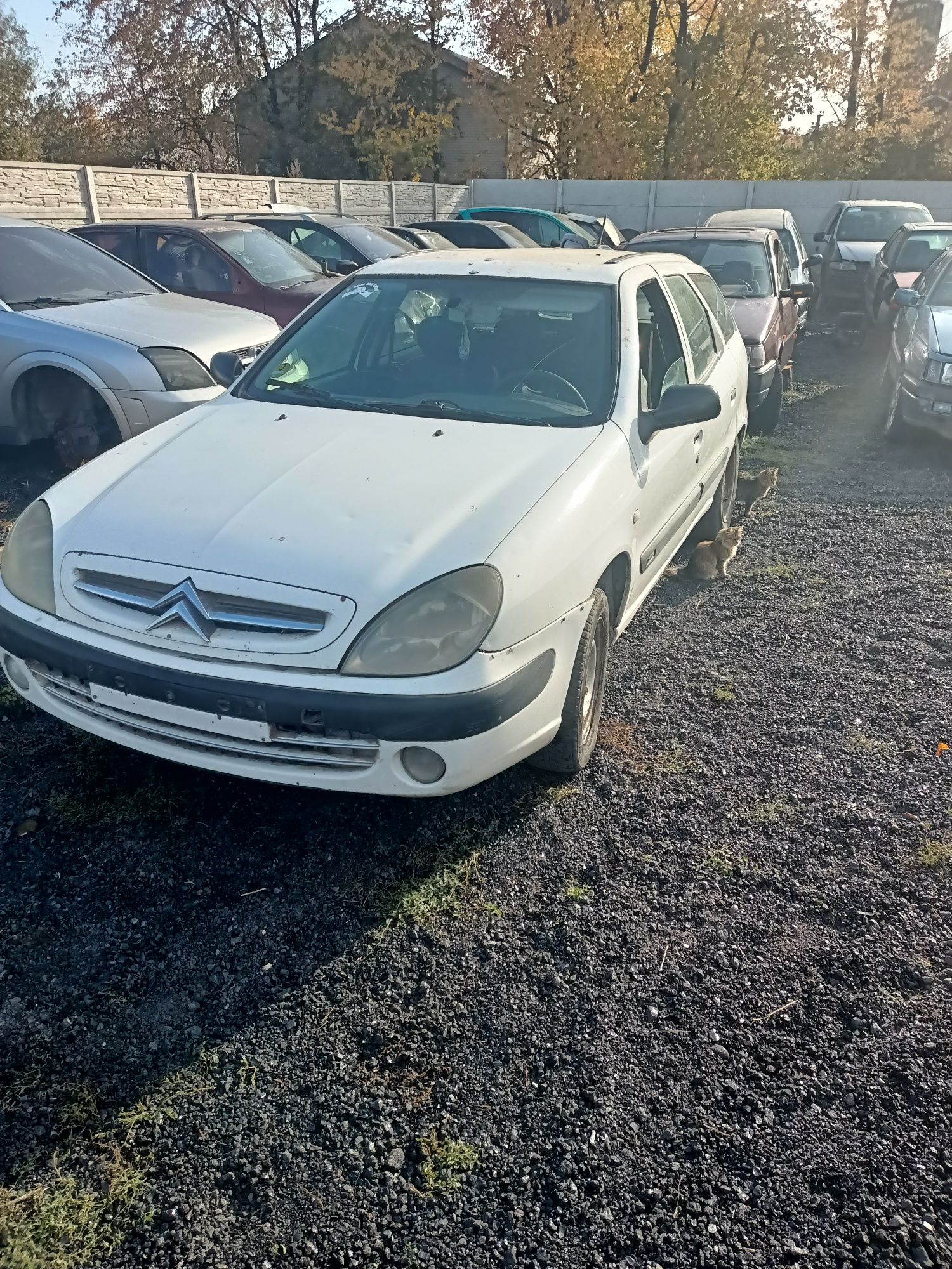 Продам citroën xsara по запчастинах 0.2 Куба дизель