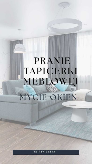 Pranie tapicerki meblowej i dywanów. Mycie okien.