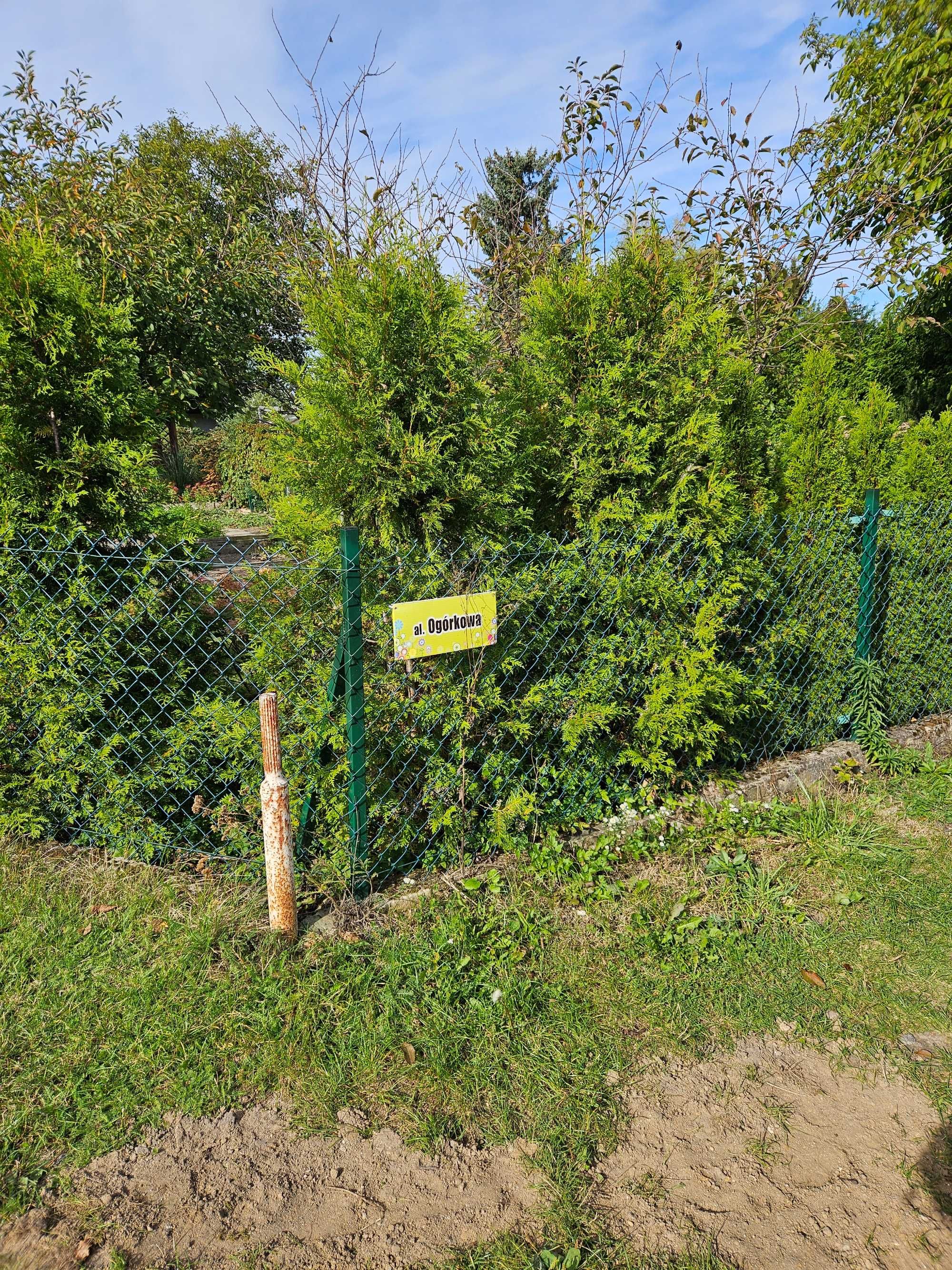 Działka rekreacyjna 300m2 ROD im TYSIĄCLECIE ul. Rolnicza Częstochowa