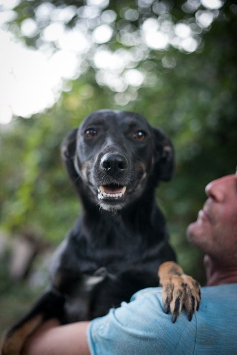 Чудова Багіра шукає маму/тата!