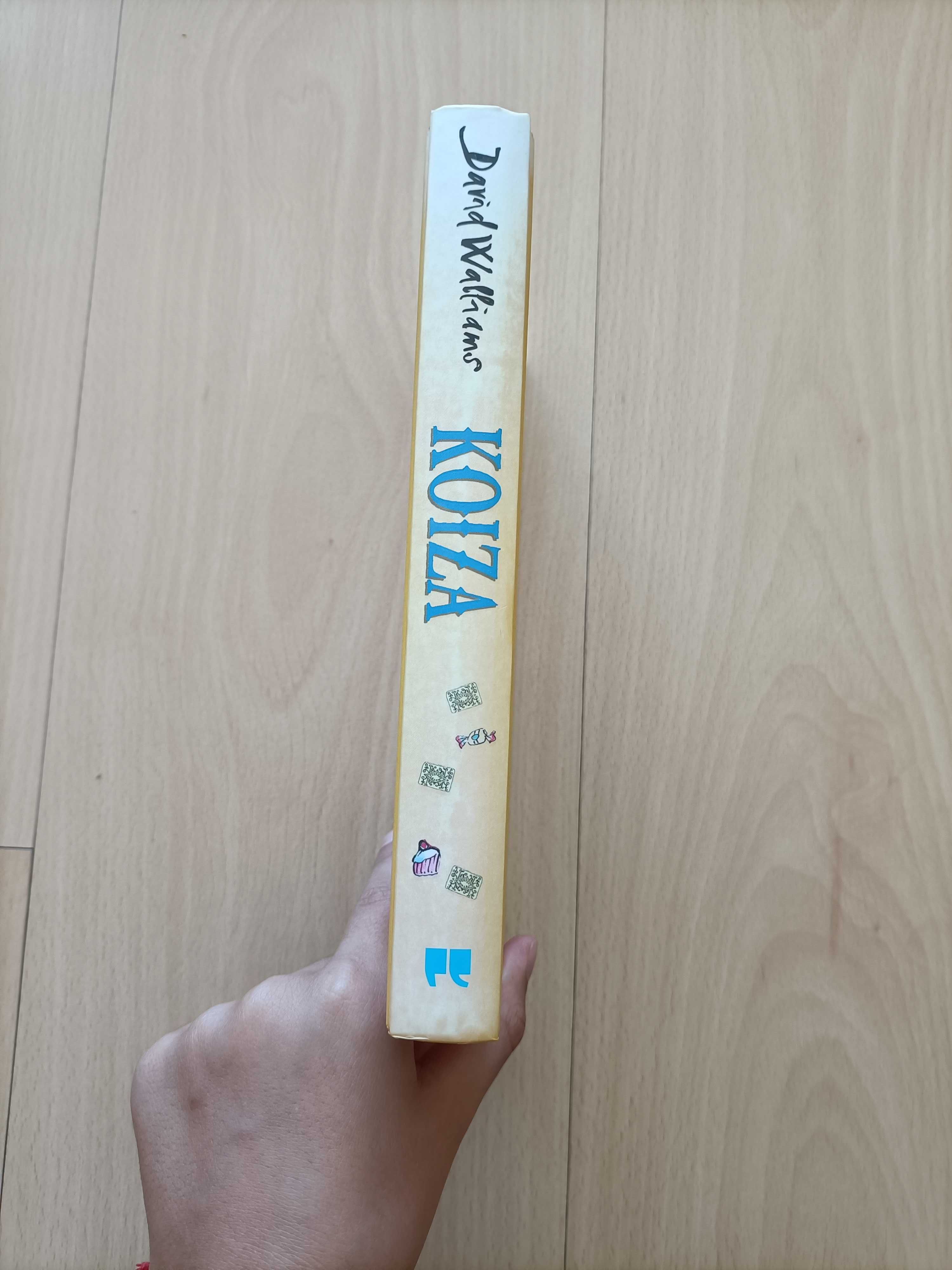 Livro "Koiza"-David Walliams