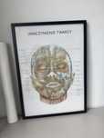 Plakat anatomiczny