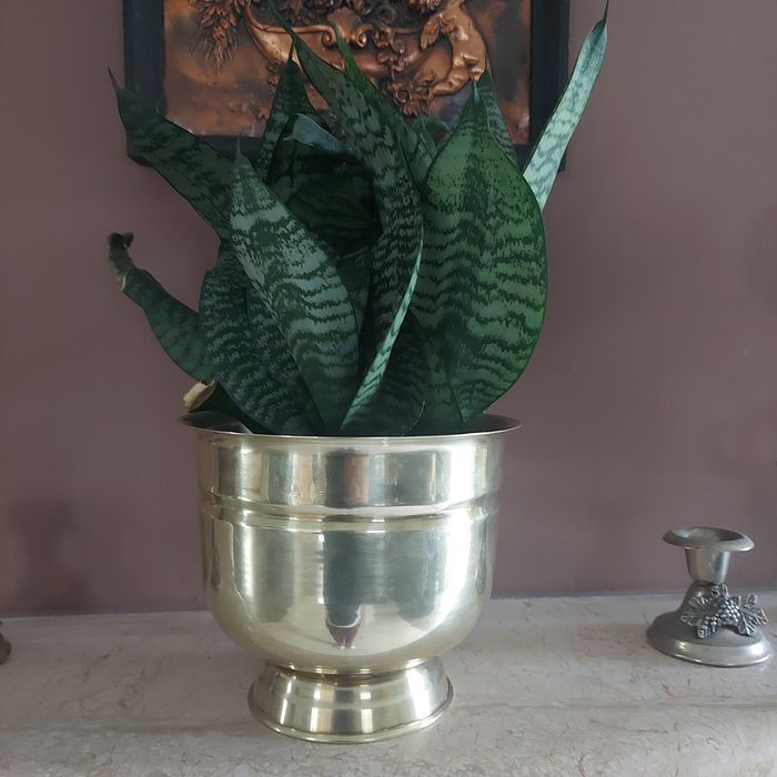 Piękna mosiężna osłonka na doniczkę