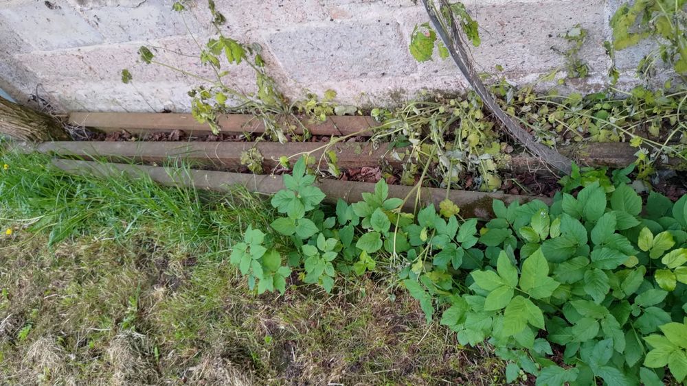 Dwuteownik, szyna kolejowa S49, konstrukcja