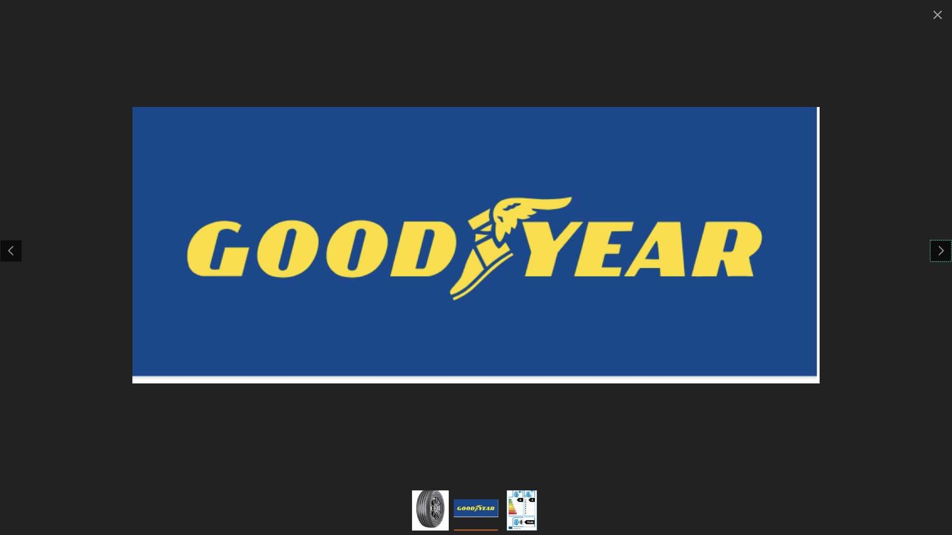 GOODYEAR EFFICIENTGRIP Performance 2 205/60R16