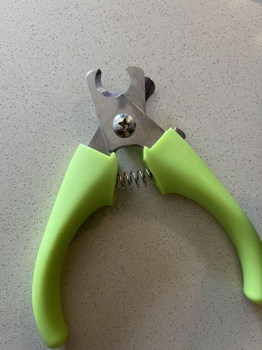 Tesoura unhas cão gato papagaio