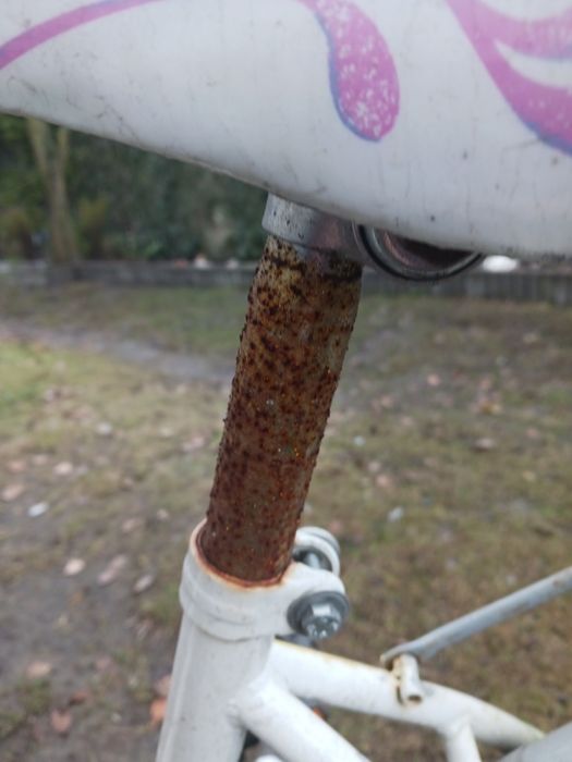 Rower dla chłopca jak I dla dziewczynki