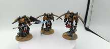Venatari Custodes