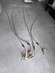 Kabel głośnikowy Chord Clearway X 2x2.5 m