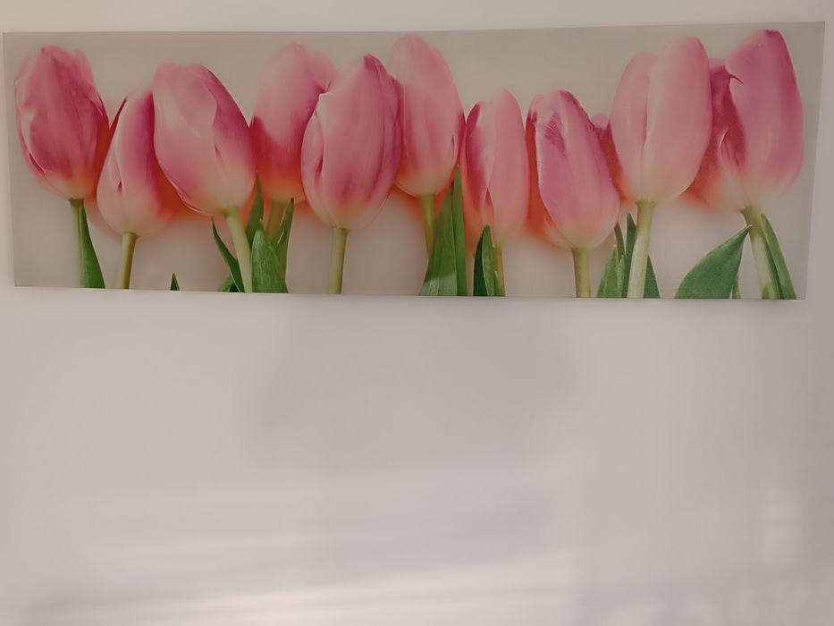 Obraz tulipany  45x140
