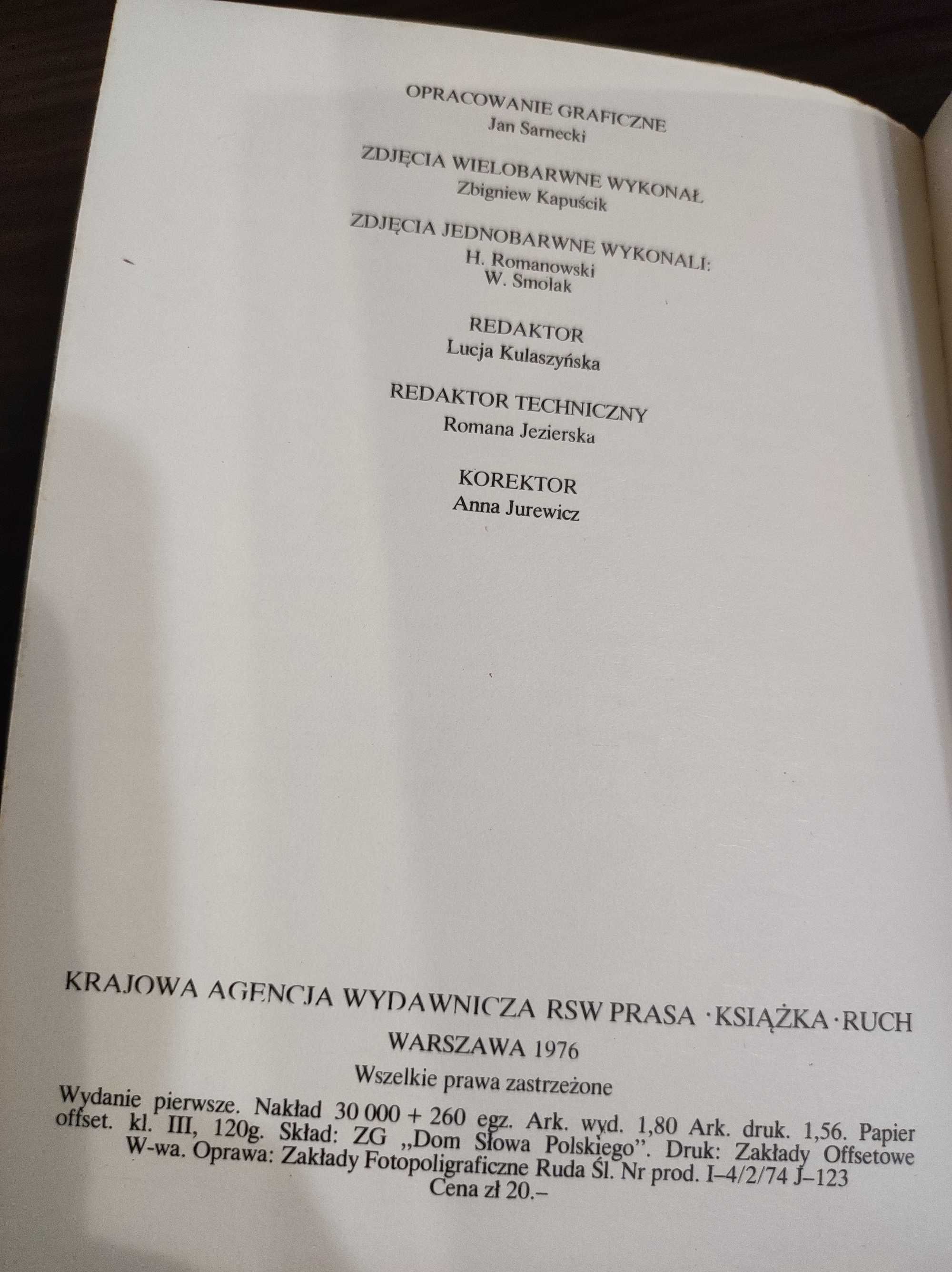 Krystyna Sroczyńska "Bitwa pod Grunwaldem Jana Matejki"