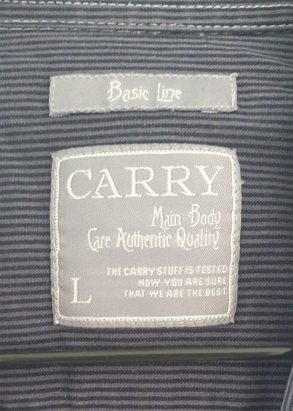 Koszula męska Carry L