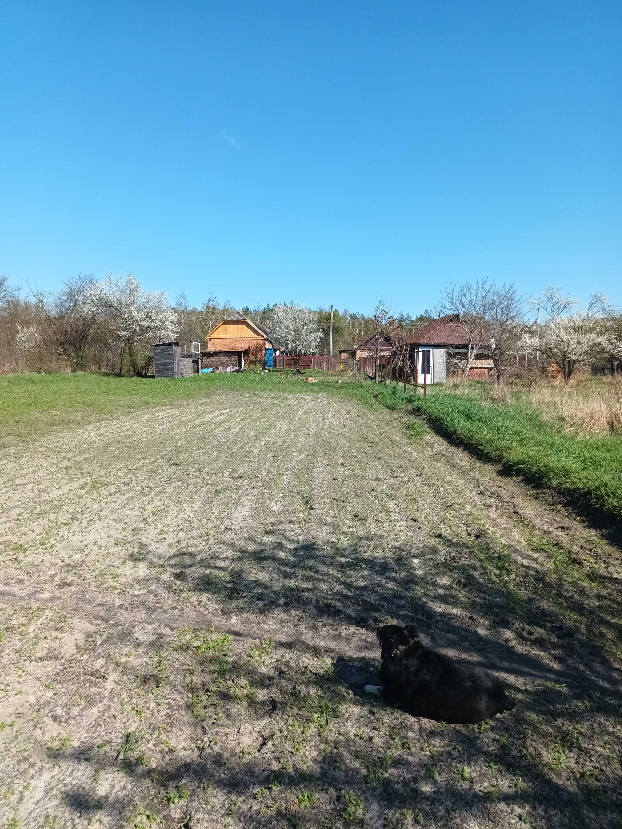 Продаж будинку та земельної ділянки с. Рудня-Тальська біля смт Іванків