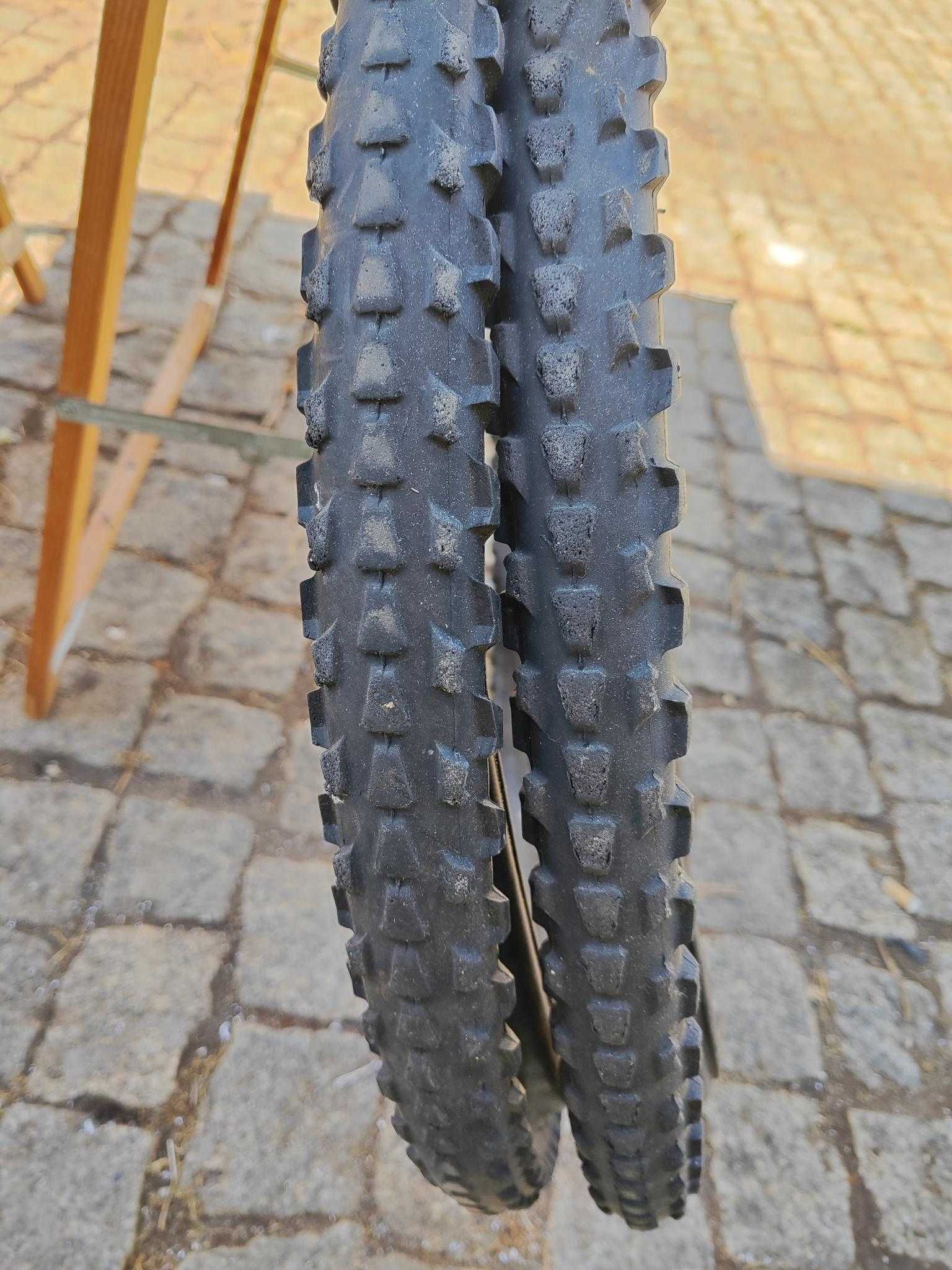 Bicicleta de Montanha Specialized