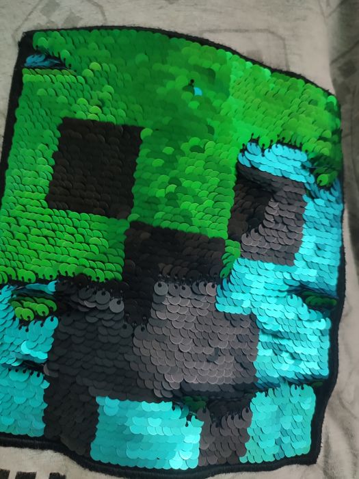 В школу перевёртыши