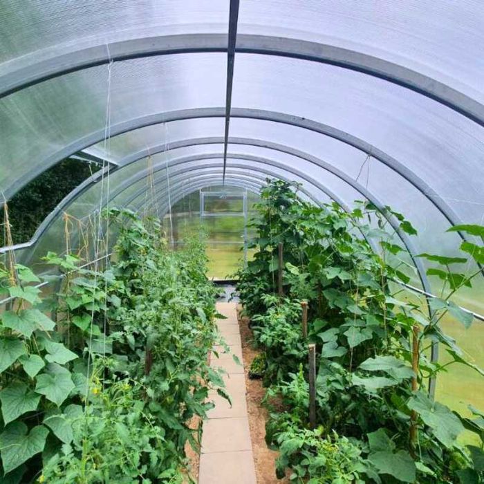 Szklarnia Tunel ogrodowy 3x4 3x6 3x8 Profil 40x20 Poliwęglan 4 / 6mm