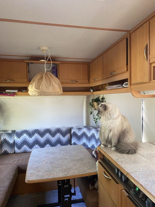 Przyczepa campingowa LMC