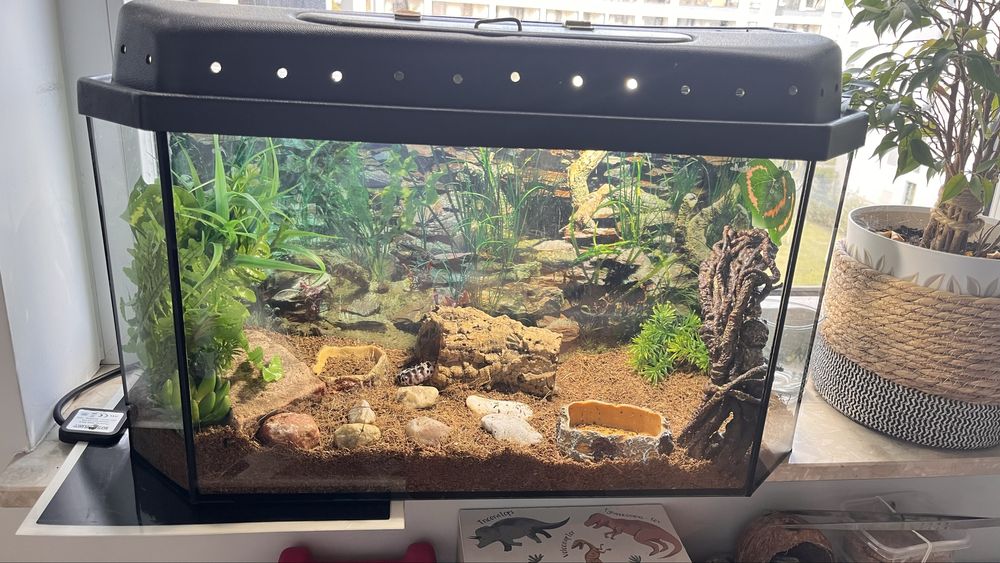 Terrarium dla gekona/węża/innego gada 60x25x38(h)