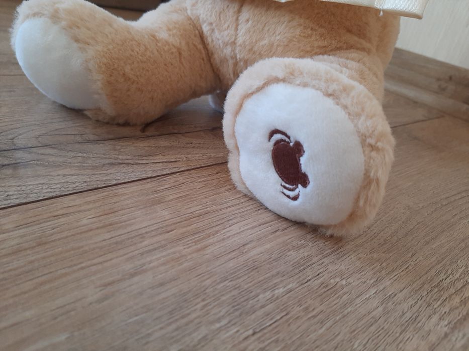 Miś peek a boo akuku mówiący interaktywny