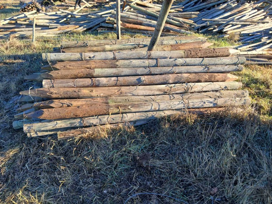 Paus tratados usados em bom estado