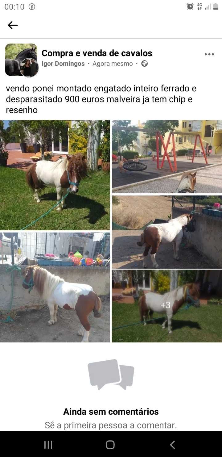 Ponei com charrete