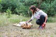 Adoptuj uroczego Stefcia