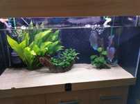 Zestaw akwariowy diversa 200L
