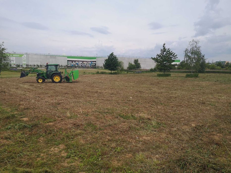 Koszenie zarośli, wycinka drzew, mulczowanie, usuwanie karp