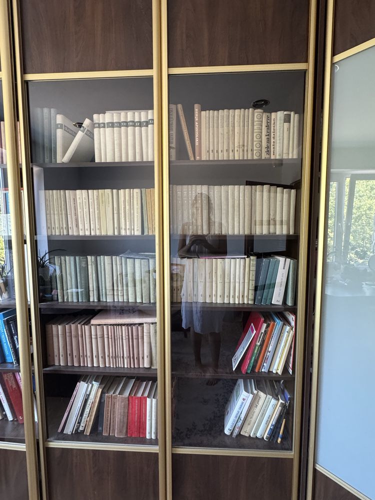 Biblioteka z szafą narożną