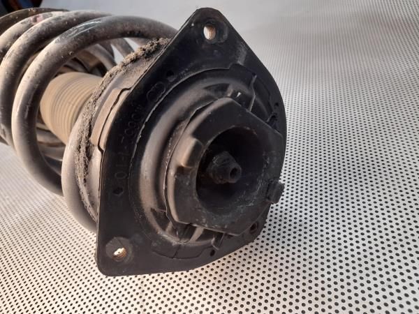 Amortecedor frente esquerdo NISSAN Qashqai/Qashqai+2 I (J10, JJ10)