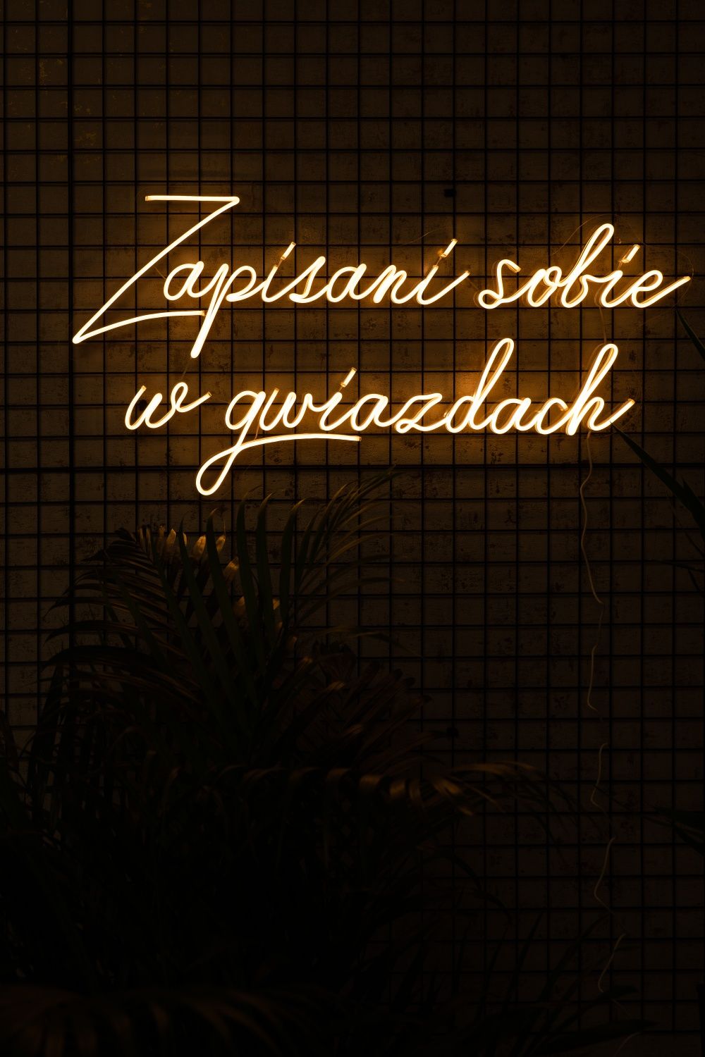 Wynajem napisów ledowych led neon Zapisani, to była Nasza, z tobą chcę