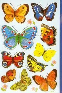 Naklejki papierowe Motyle. Avery Dennison