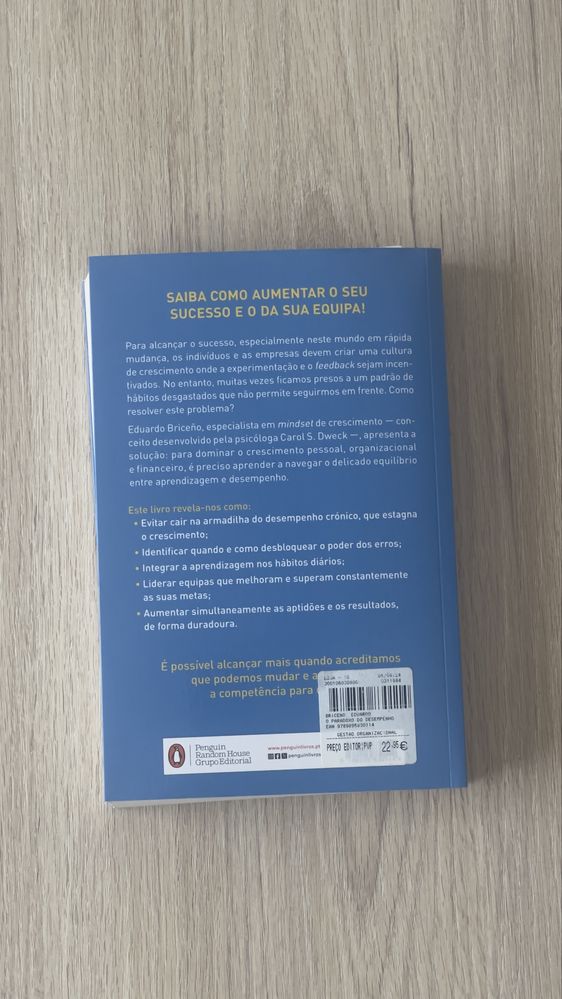 O Paradoxo do Desempenho - Eduardo Briceño