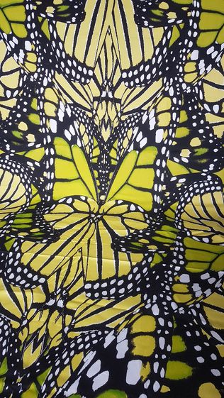 Tkanina bawełna motyle wzór print