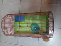 Gaiola p hamster