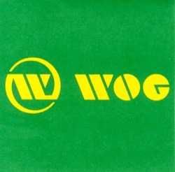 Дизель паливо WOG
