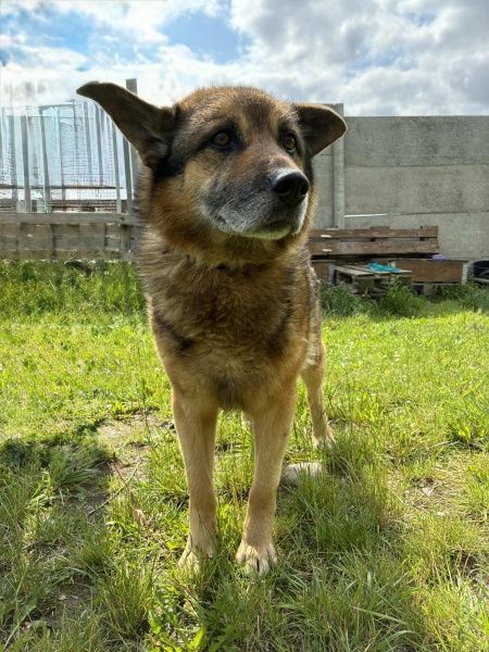 Haker do adopcji!