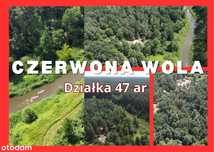Działka Czerwona Wola -Radawa   47 ar